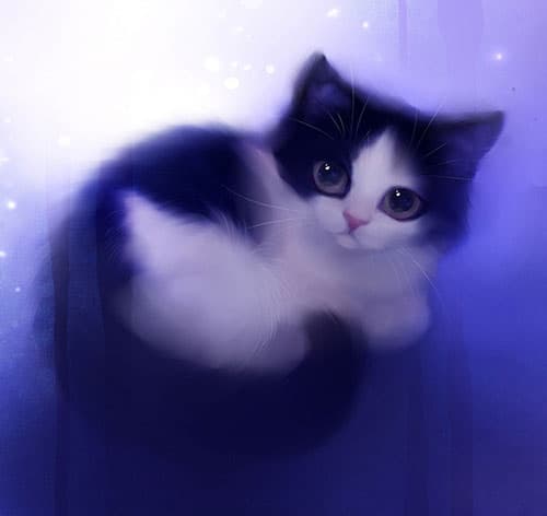 قصهی گربهای که میخواست پرواز کند